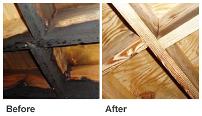 fire damage and smoke removal